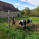 Domaine De Vic Saint-Chamassy