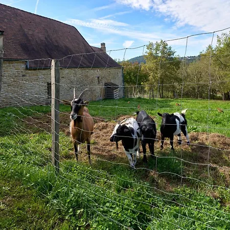 Domaine De Vic Saint-Chamassy