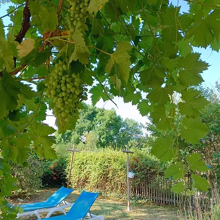 Domaine De Vic Saint-Chamassy