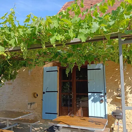 Domaine De Vic * Saint-Chamassy