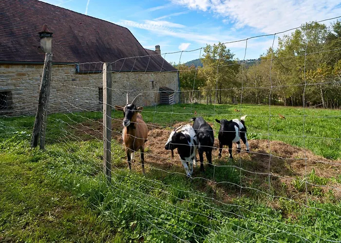 Domaine De Vic Casa vacanze *